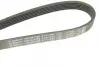 Ремень поликлиновой 6PK1685 FORD Fiesta V 1,3i 01-05 bosch 1987947986
