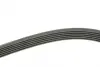 Ремень поликлиновой 6PK1755 CITROEN Berlingo/Xantia/Xsara/Jumpy bosch 1987946030