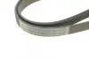 Ремень поликлиновой 6PK1755 CITROEN Berlingo/Xantia/Xsara/Jumpy bosch 1987946030