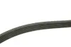 Ремень поликлиновой 6PK1920 FORD 1,6/1,8: Escort 92-01, Fiesta 92-96 bosch 1 987 946 015