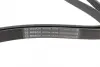 Ремень поликлиновой 6PK2055 DB W202/210 1,8-2,3; SSANGYONG; VW T4 bosch 1987947988