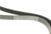 Ремень поликлиновой 7PK1753 bosch 1987947375