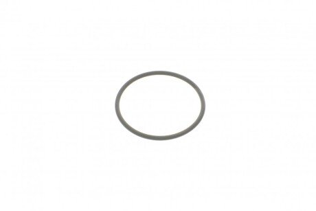 Сальник помпи Renault Master III/Trafic II 09- bosch F00N202130