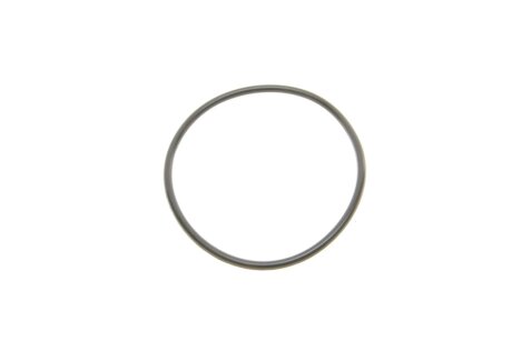 Паливний (топливный) фільтр bosch F026402829