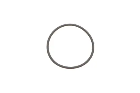 Уплотнительное кольцо (пр-во) bosch F00HN35932