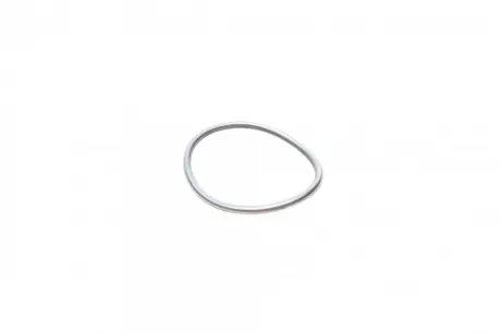 Уплотнительное кольцо ТНВД (пр-во) bosch F01M100114