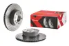 Вентильований гальмівний диск Brembo 09.6924.1X (фото 2)