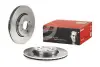 Вентильований гальмівний диск Brembo 09813724 (фото 2)