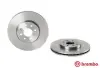 Вентильований гальмівний диск Brembo 09915910 (фото 2)