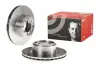 Вентильований гальмівний диск Brembo 09976160 (фото 2)