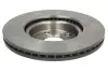 Вентильований гальмівний диск Brembo 09981731 (фото 2)