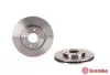 Вентильований гальмівний диск Brembo 09.B632.10 (фото 2)