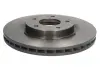 Вентильований гальмівний диск Brembo 09N26411 (фото 1)
