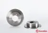 Задній гальмівний (тормозний) диск Brembo 08831610 (фото 2)