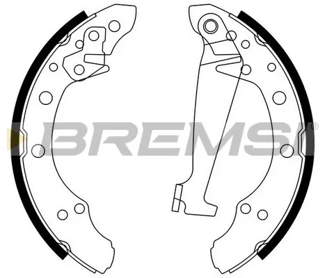 Колодки ручного (стоячого) гальма Bremsi GF0556 (фото 1)