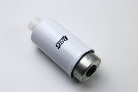 Паливний (топливный) фільтр bsg BSG 30-130-010