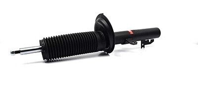 Передний амортизатор (стойка) bsg BSG30300011