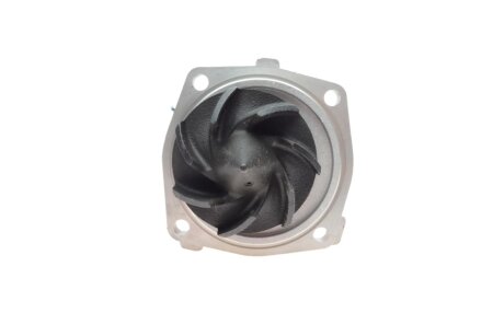 FORD Помпа воды крепл.d=76mm Scorpio II,Chrysler Grand Voyager,Jeep Grand Cherokee,Opel Frontera 2.5TD bugatti PA10384