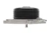 DB Помпа воды W204, W212, W166, W221 2.2CDI 08- BUGATTI PA10249