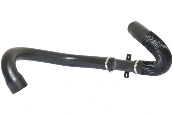 Патрубок інтеркулера Citroen C4/Peugeot 307 1.6 Hdi 04- Bugiad 88744 (фото 1)