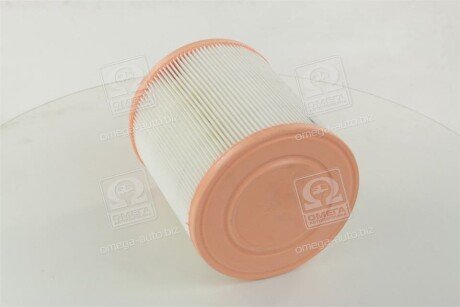 Воздушный фильтр двигателя champion CAF100485C