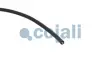 Датчик обертів колінвалу COJALI 2260838