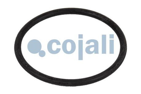 Ремкомпект клапана ограничения давления cojali 6012160