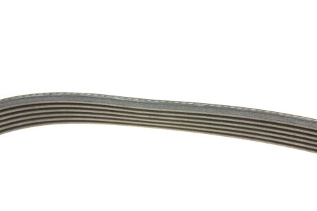 Доріжковий пас continental 6PK1955