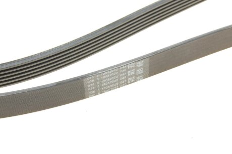 Ремінь поліклиновий continental 6PK2397