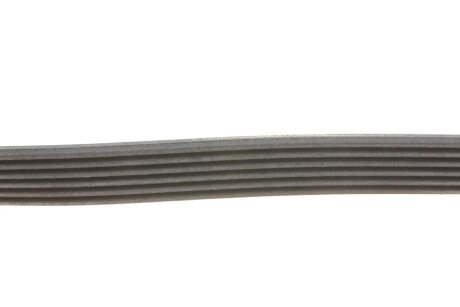 Поклиновий ремень continental 6PK922EXTRA