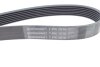 Привідний ремінь генератора continental 7PK1516