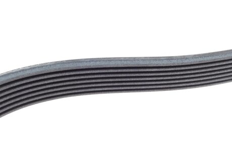 Привідний ремінь генератора continental 7PK1516