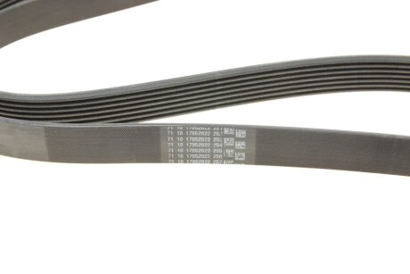 Доріжковий пас continental 7PK1538