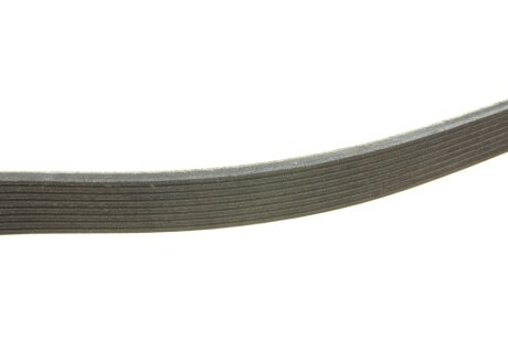 Ремінь поліклиновий continental 8PK1310EXTRA