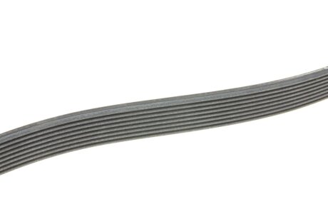 Доріжковий пас continental 8PK1395