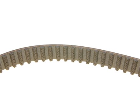 Continental CT1162K5