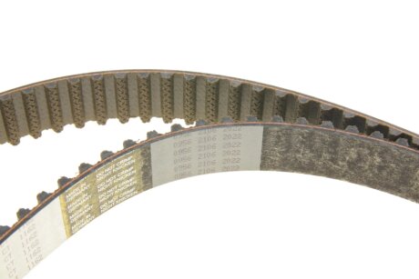 Continental CT1162K5