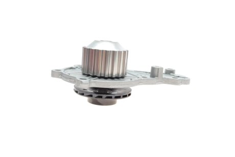 Continental CT1162WP5