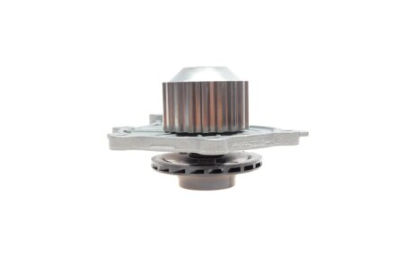 Continental CT1162WP5