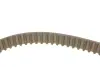 continental CT1162K5