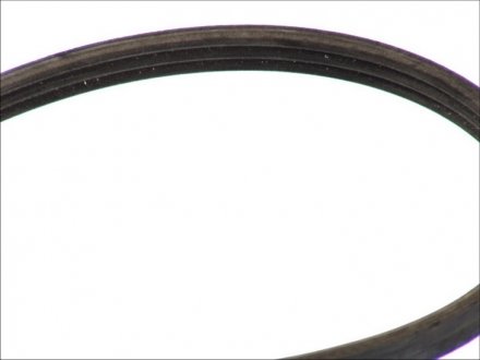 Доріжковий пас continental 3PK977ELAST