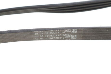 Доріжковий пас continental 4PK811ELAST