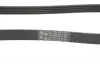 Доріжковий пас continental 5PK1310