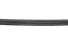 Доріжковий пас continental 5PK1310