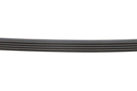 Доріжковий пас continental 5PK1310