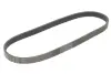 Доріжковий пас continental 5PK805