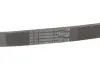 Доріжковий пас continental 5PK805
