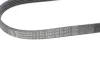 Доріжковий пас continental 5PK926 ELAST