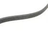 Доріжковий пас continental 5PK934