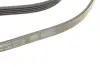 Доріжковий пас continental 5PK934